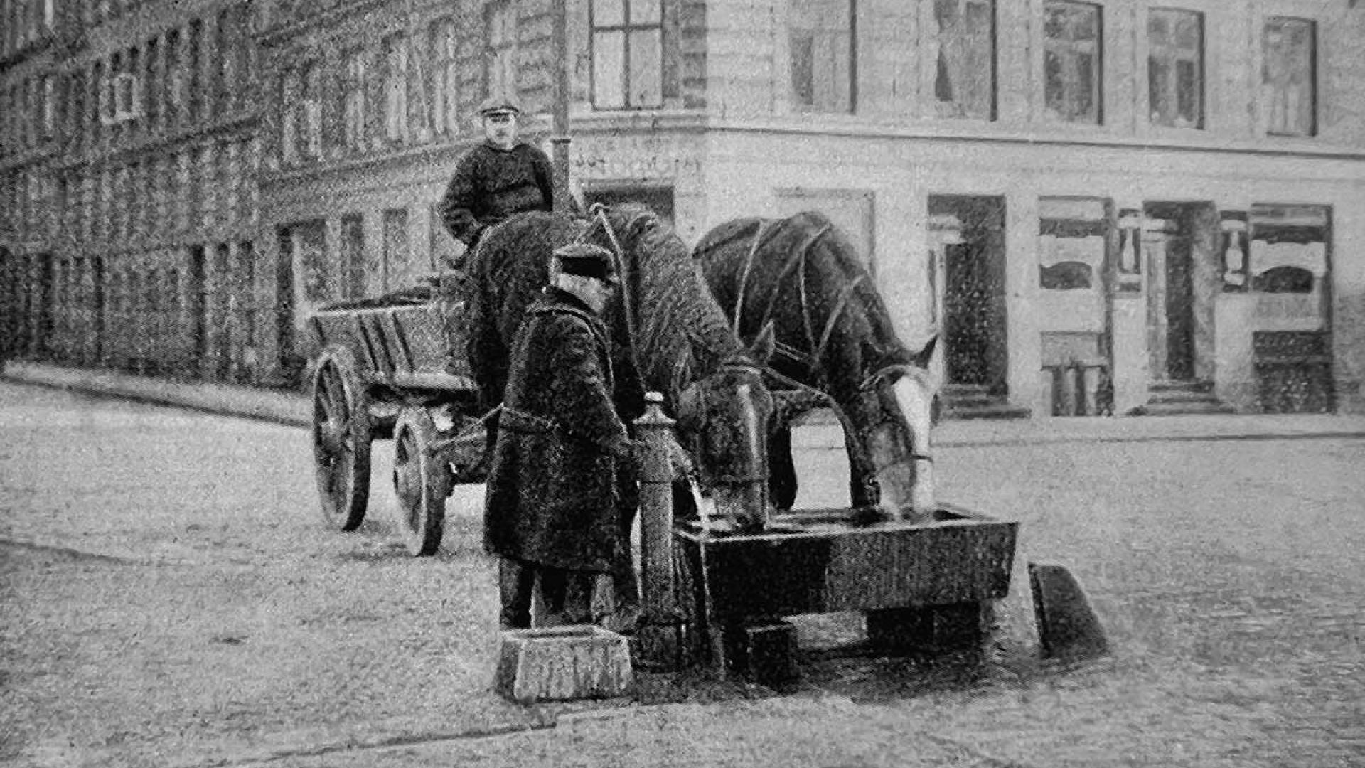 To heste er spændt for hestevogn og drikker af trug på åben gade. Billedet er gammelt og uden farve