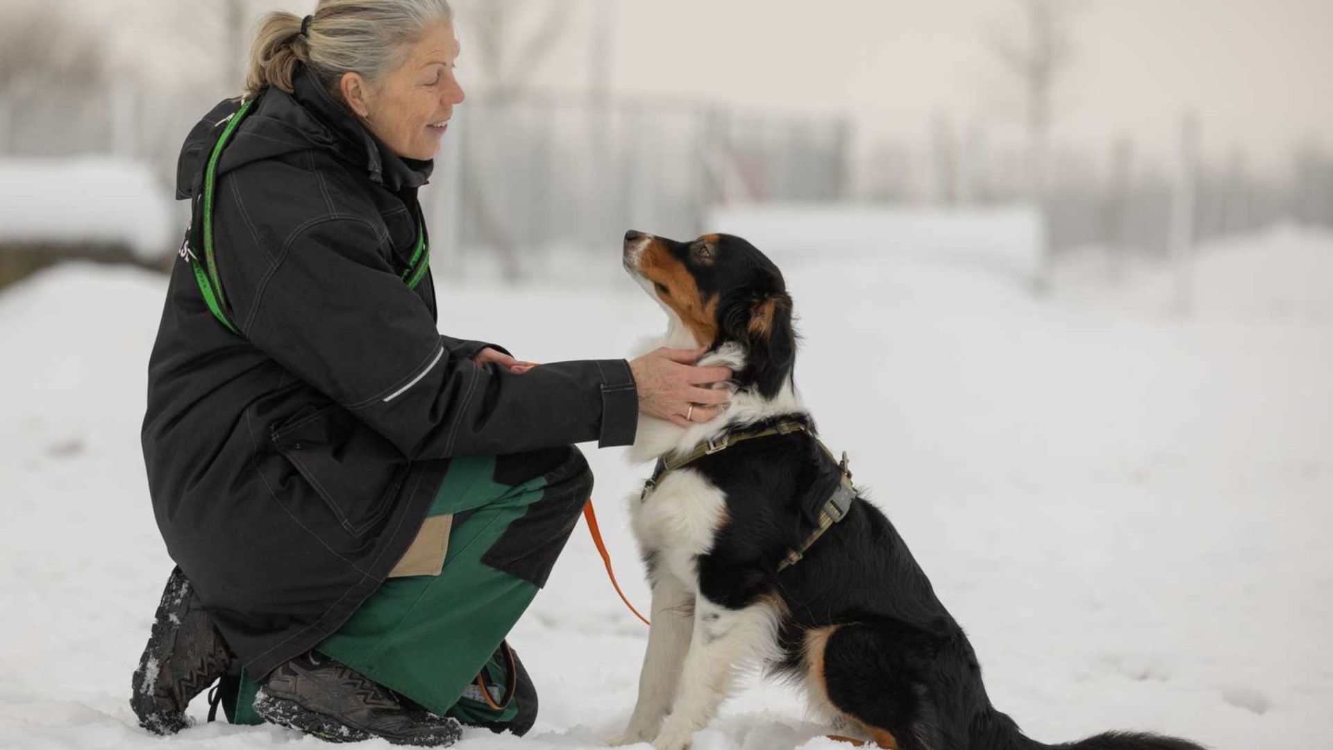 Hund bliver kløet på halsen af en dame, imens de sidder i sneen