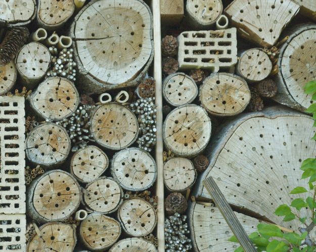Et insekthotel er en af de mange ting, man kan indrette i sin have