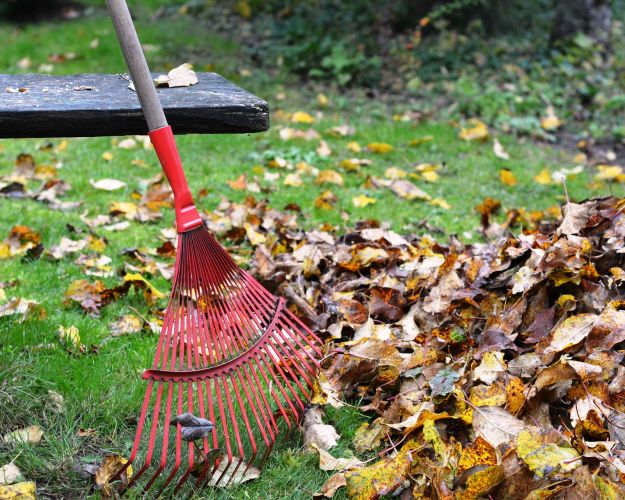 raking