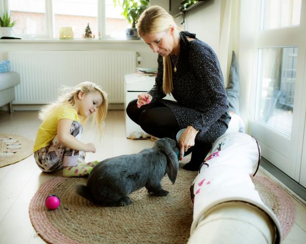 Kaniner er dårlige børnedyr og der er derfor brug for en voksen når børn og kaniner skal introduceres for hinanden