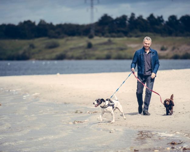 Mand går tur på strand med to hunde i snor