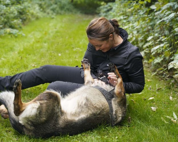 Forskellige typer hunde til forskellige ejere