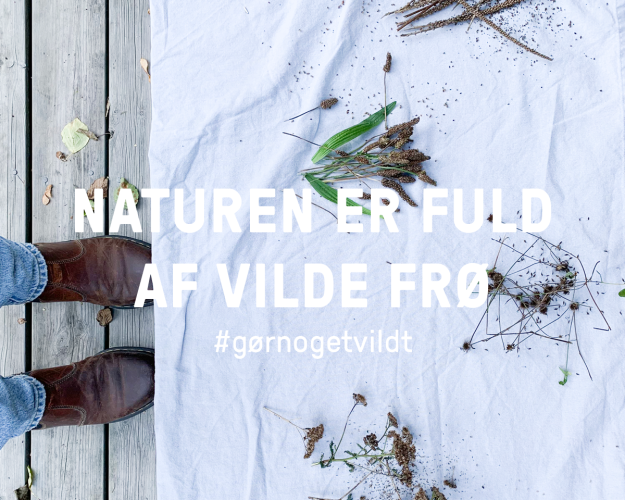 Naturen er fuld af vilde frø