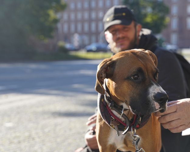 Til årets Hjemløsedag fik flere hjemløse hundeejere tilset deres hunde