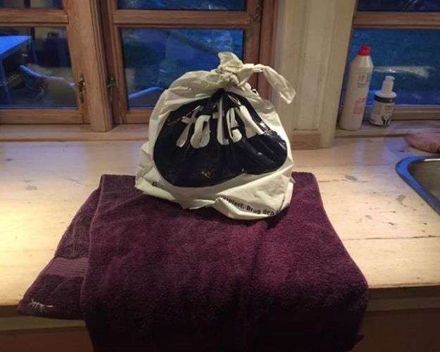 Posen om katte blev efterladt i