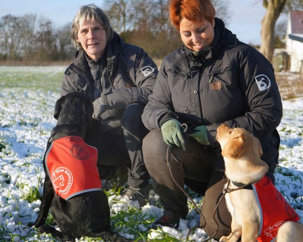 Team Servicehunden uddanner psykiatriske servicehunde