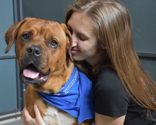 Hunden Vera får et knus på Nordjyllands Internat