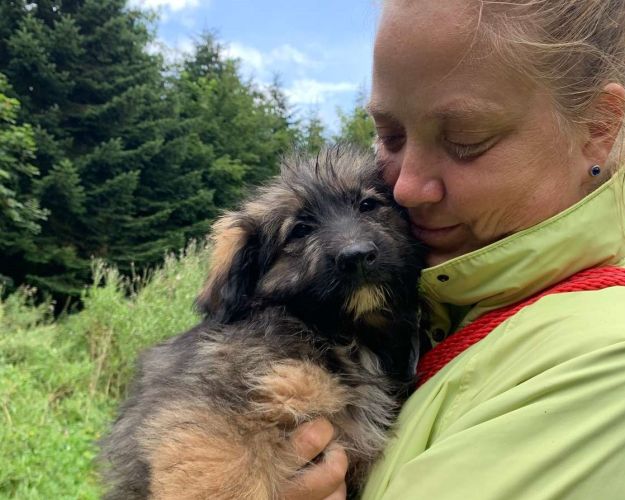 hvalp fra hundesagen