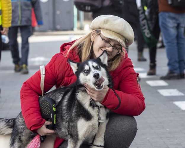 HUnd med sin ejer