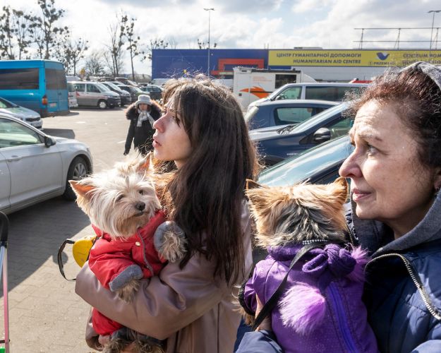 Flygtninge med hunde