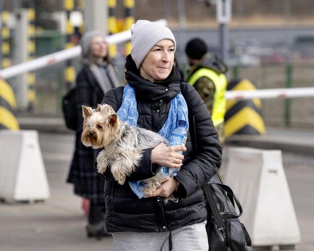 Flygtning med hund