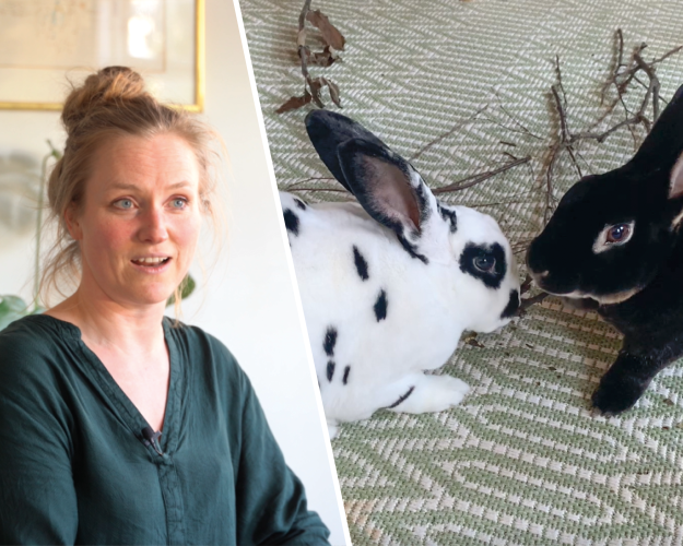karin og kaninerne snif og søs