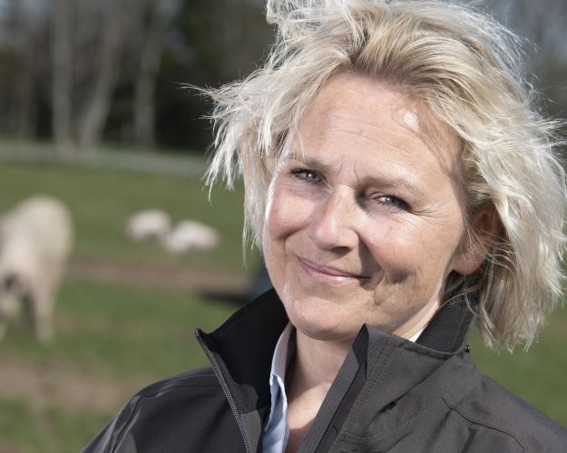 direktør Britta Riis med frilandsgrise i baggrunden
