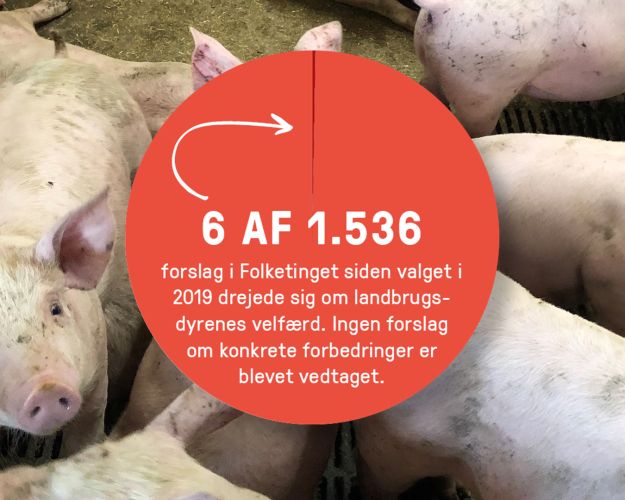 Lagkagediagram på baggrund af billede af grisestald