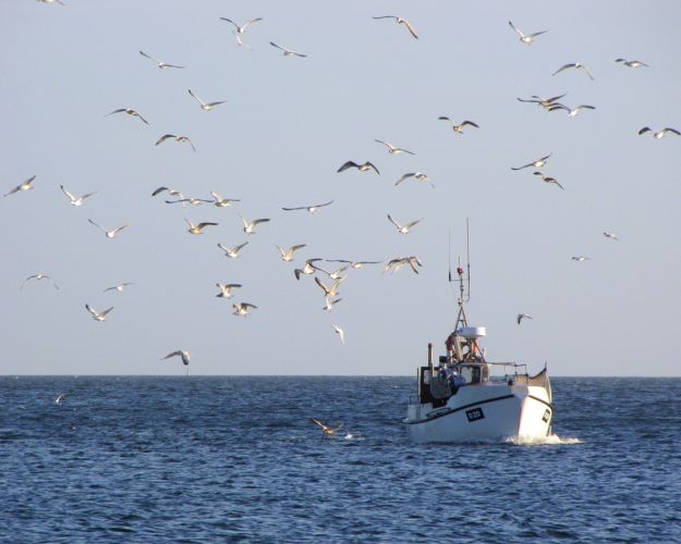Fiskekutter