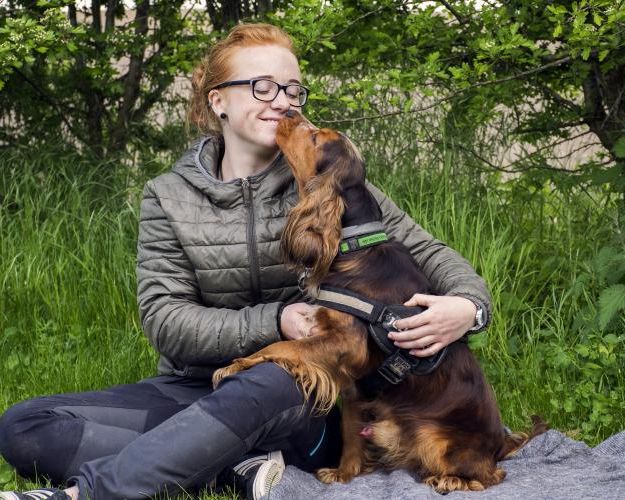 Hund og frivillig