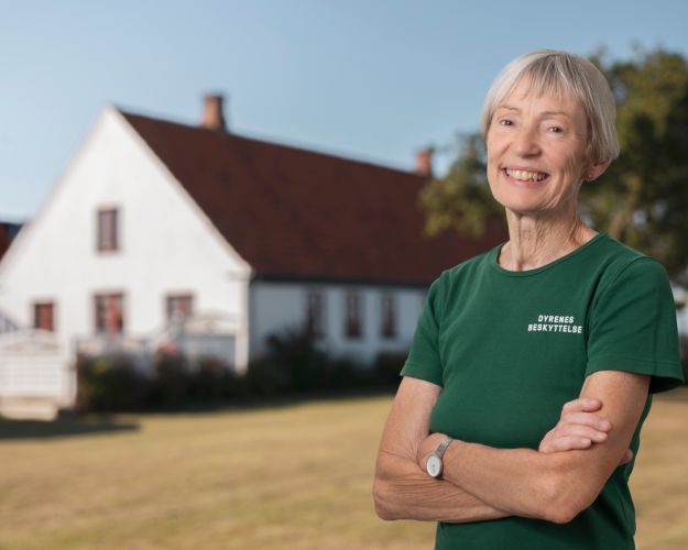 gitte