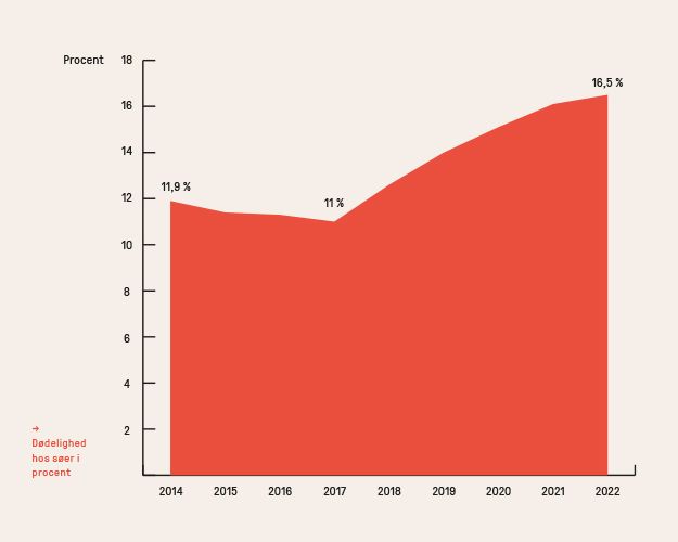 Sodødeligheden i procent satte ny rekord i 2022, hvor den var på 16,5 procent af søerne, som må aflives før tide eller findes selvdøde i stalden