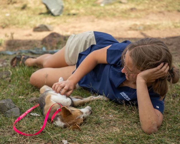 Dyrlæge nusser hund i græsset