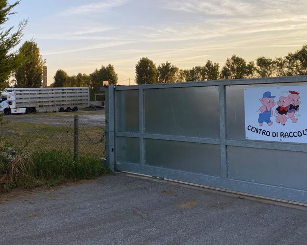 Stor stålport med et skilt, hvor Disneys Tre små gris går glade afsted. I baggrunden ses en grisetransport i fem etager