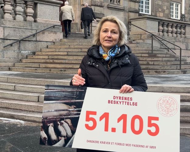 Dyrenes Beskyttelses direktør, Britta Riis, på Christiansborg