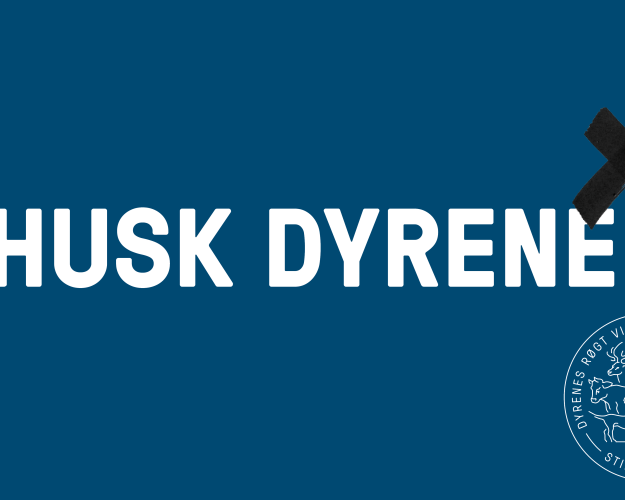 Husk dyrene