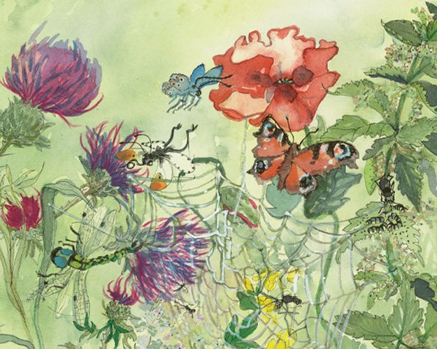Akvarel med planter og insekter i den vilde have