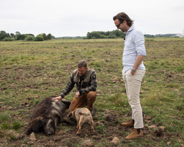 Martin Sandager og Esben Bjerre i Kragelund Mose sammen med en ungarsk uldgris og hunden Hermann