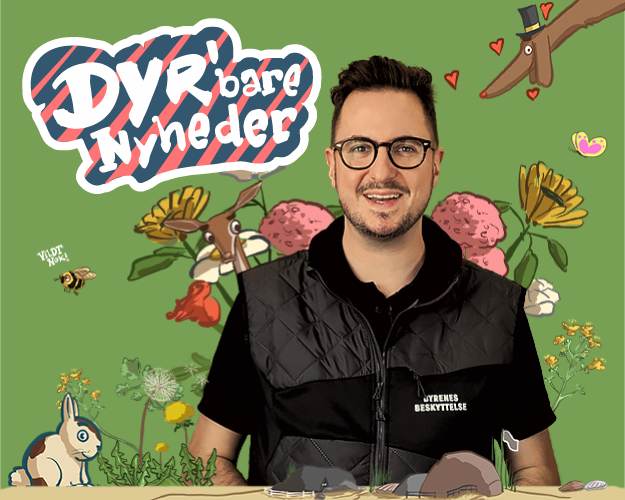 Dyr'bare Nyheder