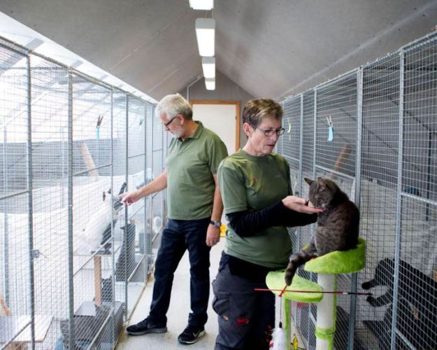 Medarbejdere på Brande Dyreinternat