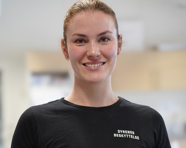 CLARA HELBO