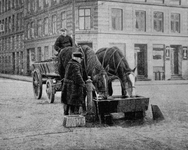 To heste er spændt for hestevogn og drikker af trug på åben gade. Billedet er gammelt og uden farve