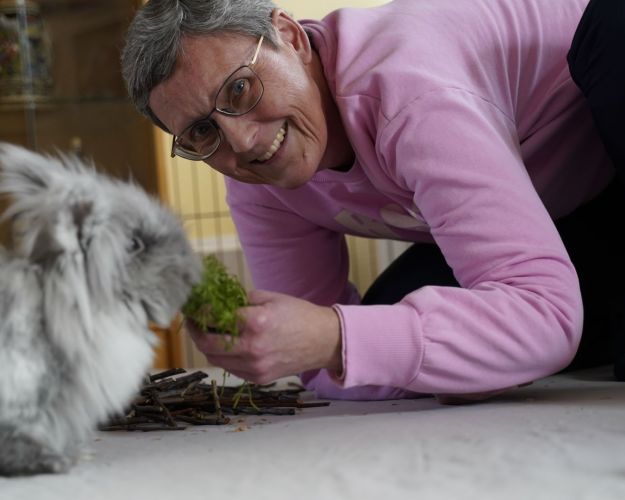 Kaninejer med kanin kigger i kameraet
