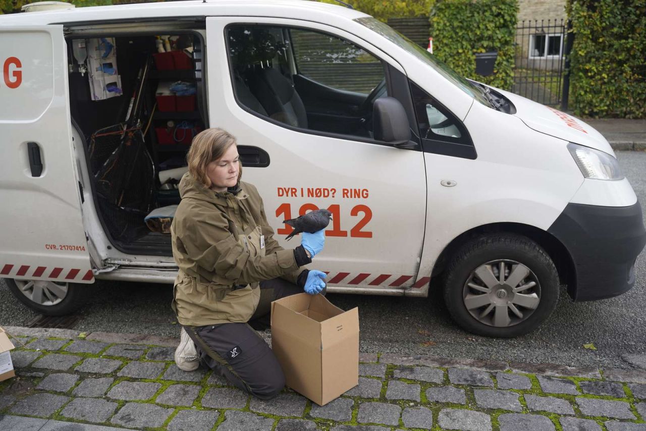 Dyreambulance med dyreredder