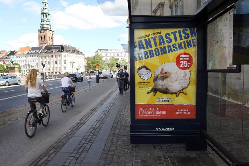 Sådan arbejder Dyrenes Beskyttelse