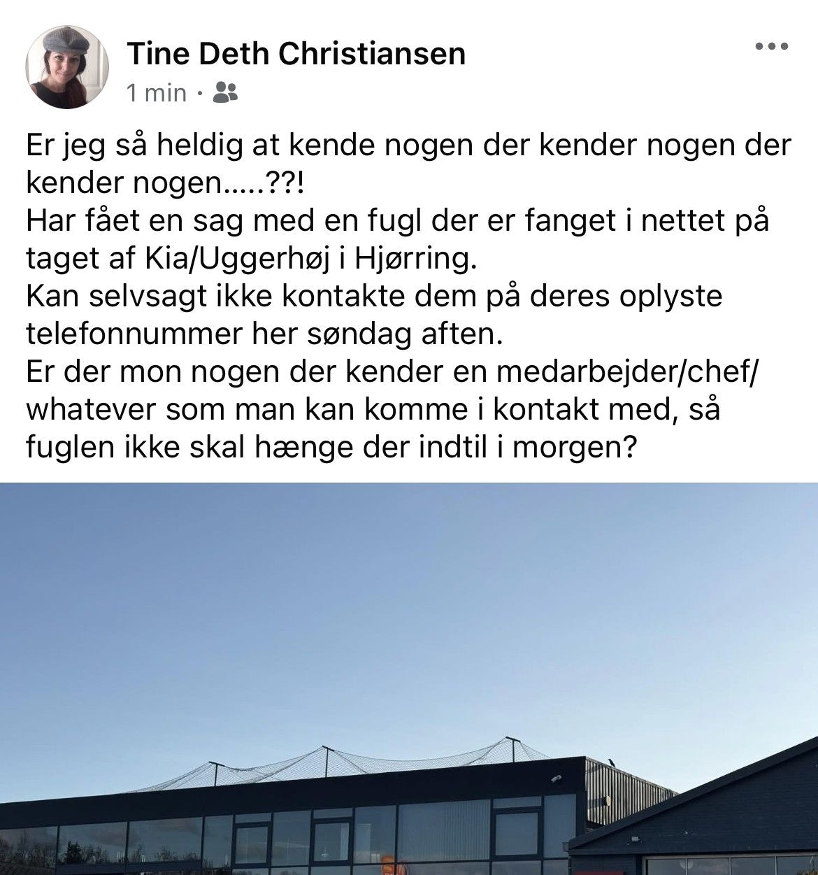Facebook-opslag fra vildtplejer Tine Deth Christensen, der efterspørger hjælp