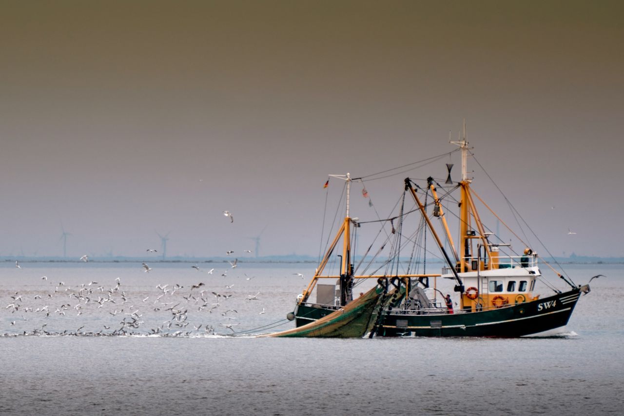 Et aktivt fiskefartøj med net i vandet.
